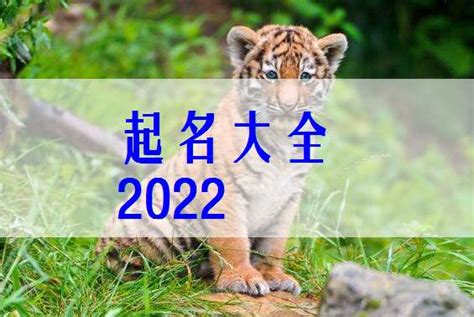 2022年虎寶寶幾月出生最好|2022年出生的虎宝宝 生在哪个月份最好